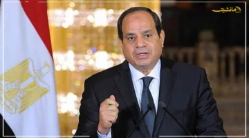 توجه رئاسي جديد.. السيسي يفتح الباب أمام القطاع الخاص للاستثمار بقوة في المجال الطبي 1